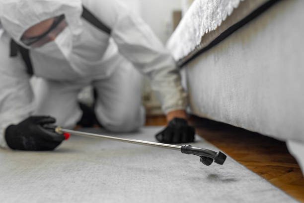 Professional Bed Bug Control technician working in Oxford, AL